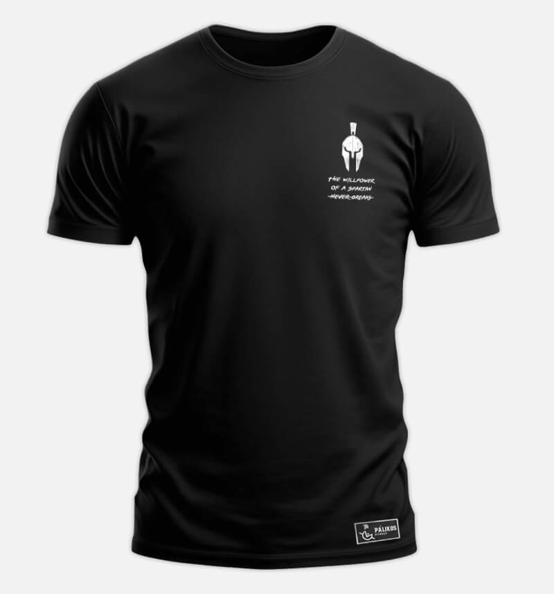 Workout Essentials 🏛️ | Polera gimnasio Pálikos | 100% Algodón